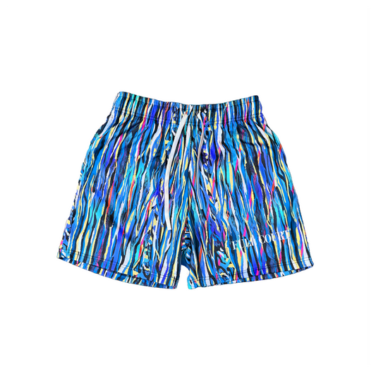 Basketball Shorts - Blue Art